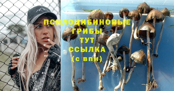 тгк Нязепетровск