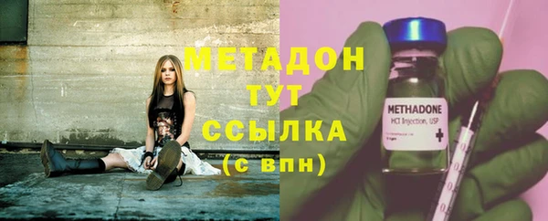 прущие грибы Балахна